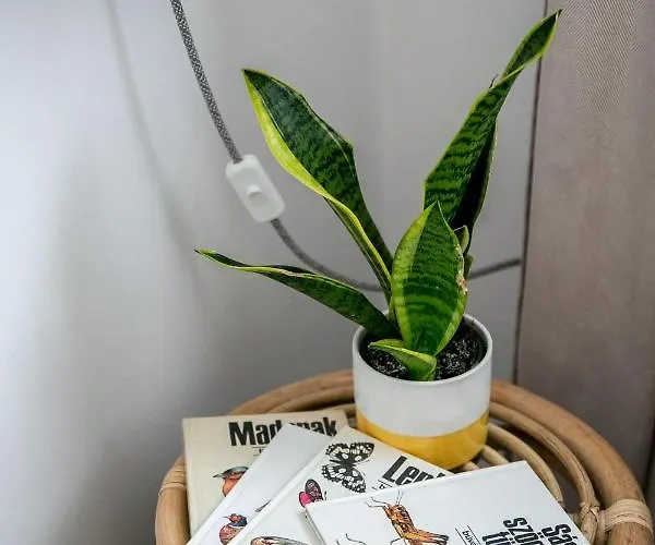 Kikapcsol-lak * Bogács